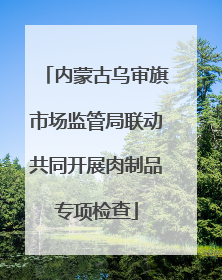 内蒙古乌审旗市场监管局联动共同开展肉制品专项检查