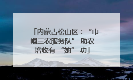 内蒙古松山区：“巾帼三农服务队” 助农增收有 “她” 功