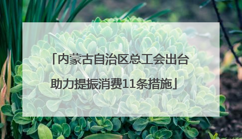 内蒙古自治区总工会出台助力提振消费11条措施