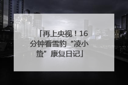 再上央视！16分钟看雪豹“凌小蛰”康复日记