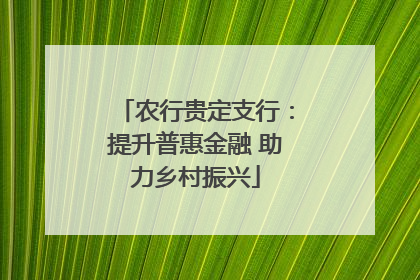 农行贵定支行：提升普惠金融 助力乡村振兴
