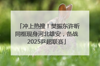 冲上热搜！樊振东许昕同框现身河北雄安，备战2025乒超联赛