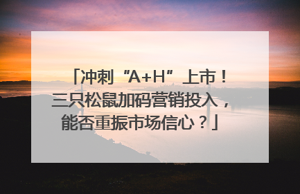 冲刺“A+H”上市！三只松鼠加码营销投入，能否重振市场信心？