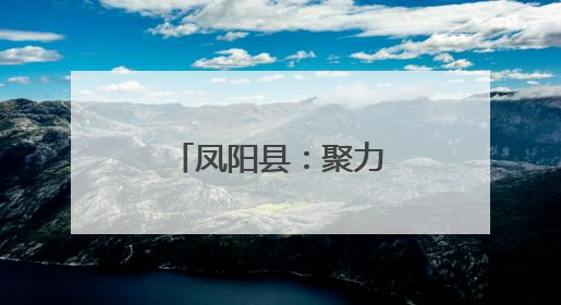 凤阳县：聚力人才引擎 共绘“大明华章”