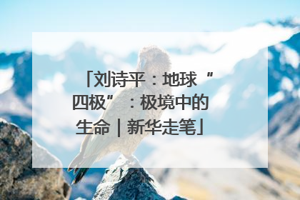 刘诗平：地球“四极”：极境中的生命｜新华走笔