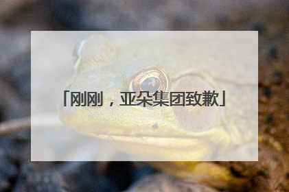 刚刚，亚朵集团致歉