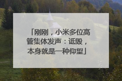刚刚，小米多位高管集体发声：诋毁，本身就是一种仰望