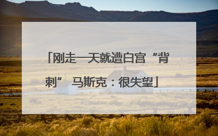 刚走一天就遭白宫“背刺” 马斯克：很失望
