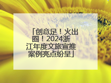 创意足！火出圈！2024浙江年度文旅宣推案例亮点纷呈
