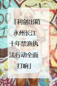 利剑出鞘 永州长江十年禁渔执法行动全面打响