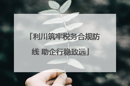 利川筑牢税务合规防线 助企行稳致远
