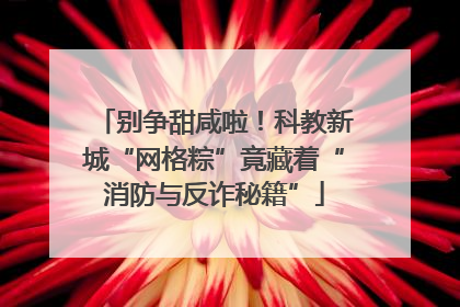 别争甜咸啦！科教新城“网格粽”竟藏着“消防与反诈秘籍”
