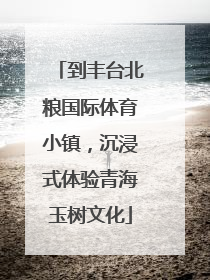 到丰台北粮国际体育小镇，沉浸式体验青海玉树文化