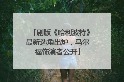 剧版《哈利波特》最新选角出炉，马尔福饰演者公开