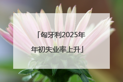 匈牙利2025年年初失业率上升