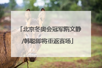北京冬奥会冠军隋文静/韩聪即将重返赛场