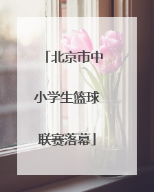 北京市中小学生篮球联赛落幕