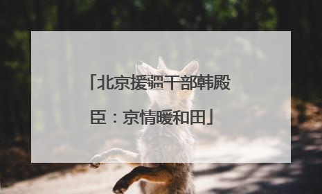 北京援疆干部韩殿臣：京情暖和田