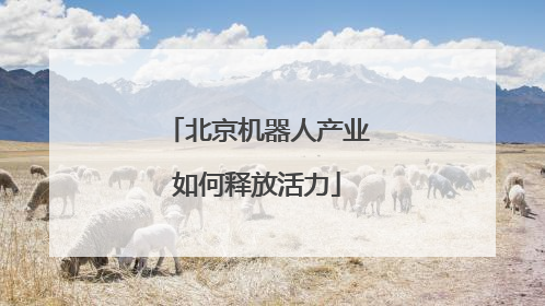 北京机器人产业如何释放活力