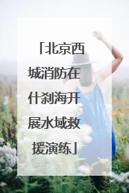 北京西城消防在什刹海开展水域救援演练