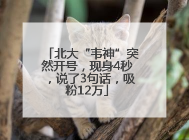 北大“韦神”突然开号，现身4秒，说了3句话，吸粉12万