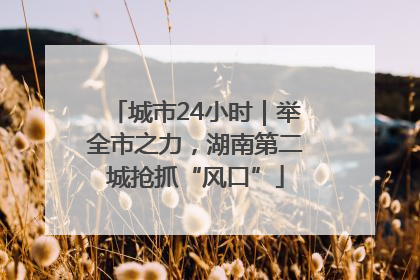 城市24小时｜举全市之力，湖南第二城抢抓“风口”