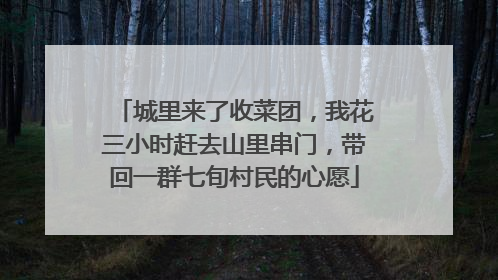 城里来了收菜团，我花三小时赶去山里串门，带回一群七旬村民的心愿
