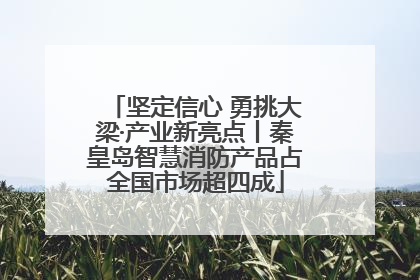 坚定信心 勇挑大梁·产业新亮点丨秦皇岛智慧消防产品占全国市场超四成