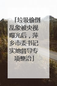 垃圾偷倒乱象被央视曝光后，萍乡市委书记实地督导专项整治