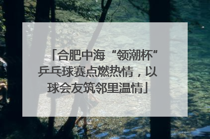 合肥中海“领潮杯”乒乓球赛点燃热情，以球会友筑邻里温情