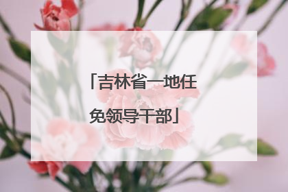 吉林省一地任免领导干部