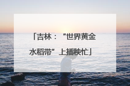 吉林：“世界黄金水稻带”上插秧忙