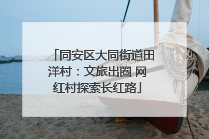 同安区大同街道田洋村：文旅出圈 网红村探索长红路