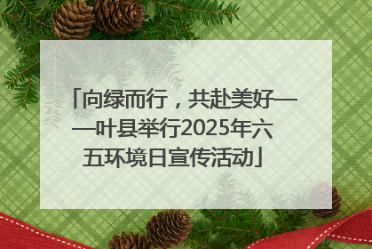 向绿而行，共赴美好——叶县举行2025年六五环境日宣传活动