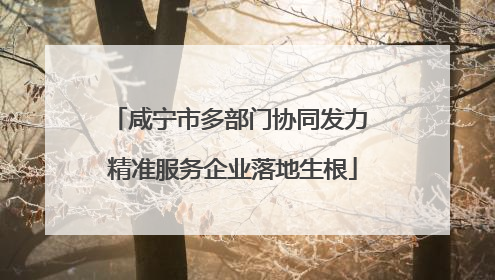 咸宁市多部门协同发力 精准服务企业落地生根