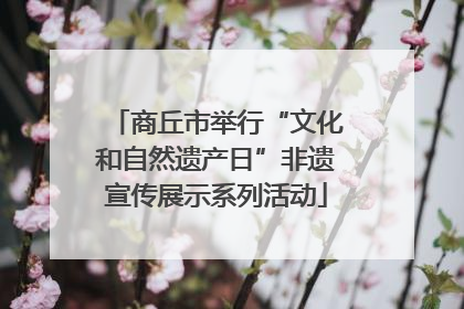 商丘市举行“文化和自然遗产日”非遗宣传展示系列活动