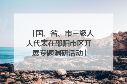 国、省、市三级人大代表在邵阳市区开展专题调研活动