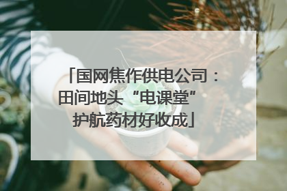 国网焦作供电公司：田间地头“电课堂” 护航药材好收成