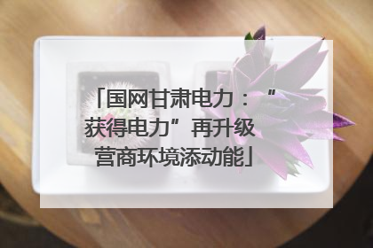 国网甘肃电力：“获得电力”再升级 营商环境添动能