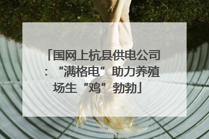 国网上杭县供电公司：“满格电”助力养殖场生“鸡”勃勃