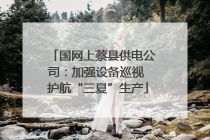 国网上蔡县供电公司：加强设备巡视 护航“三夏”生产