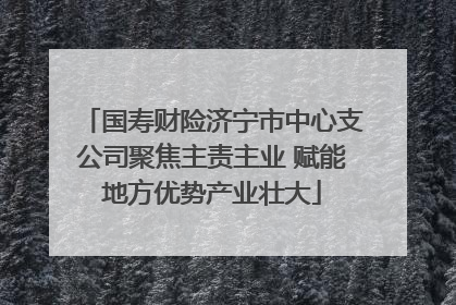 国寿财险济宁市中心支公司聚焦主责主业 赋能地方优势产业壮大