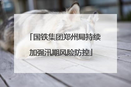 国铁集团郑州局持续加强汛期风险防控