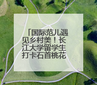 国际范儿遇见乡村美！长江大学留学生打卡石首桃花山，解锁农文旅新玩法！