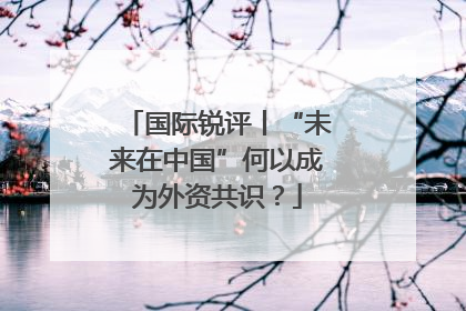 国际锐评丨“未来在中国”何以成为外资共识？