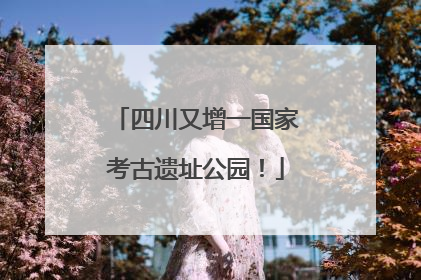 四川又增一国家考古遗址公园！