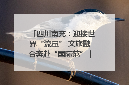 四川南充：迎接世界“流量” 文旅融合奔赴“国际范”｜话锦绣·说安逸