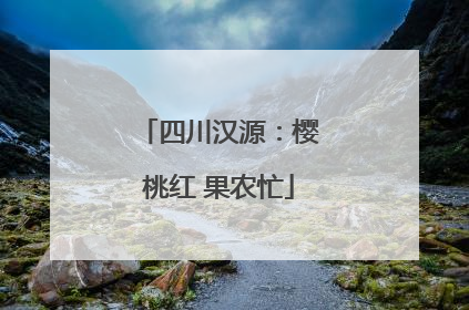 四川汉源：樱桃红 果农忙