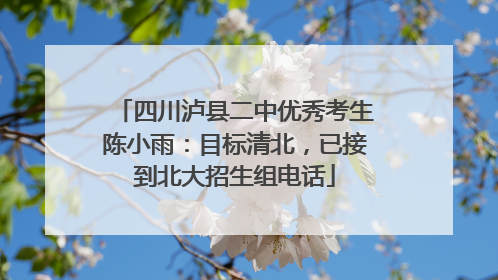 四川泸县二中优秀考生陈小雨：目标清北，已接到北大招生组电话