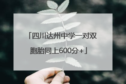 四川达州中学一对双胞胎同上600分+
